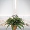 8-Pack – 33” Artificial Boston Ferns with 50 Silk Fronds – Bulk Fake Greenery for Events, Landscaping, or Indoor/Outdoor Decor – UV Resistant, No Pot Included